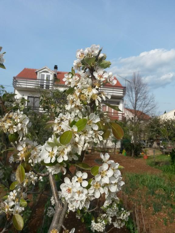 Apartment Ruzica Sukosan Luaran gambar